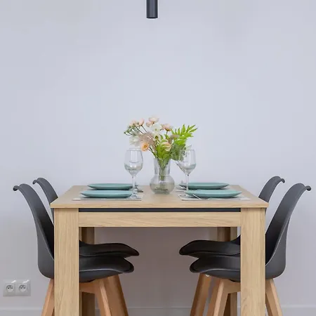 Classic Grazynskiego Near Spodek By Renters Katowice