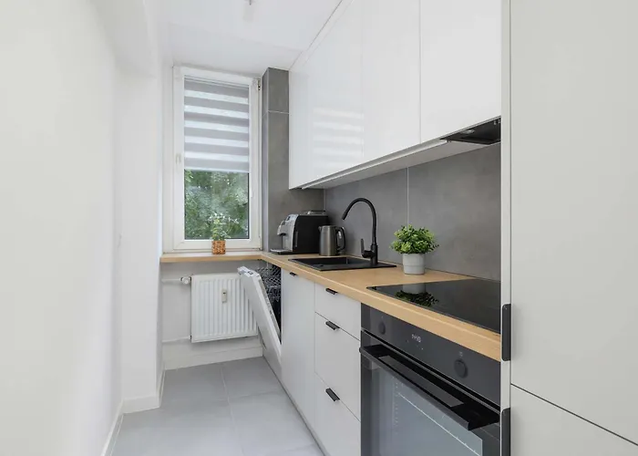 Classic Grazynskiego Near Spodek By Renters Appartement Katowice