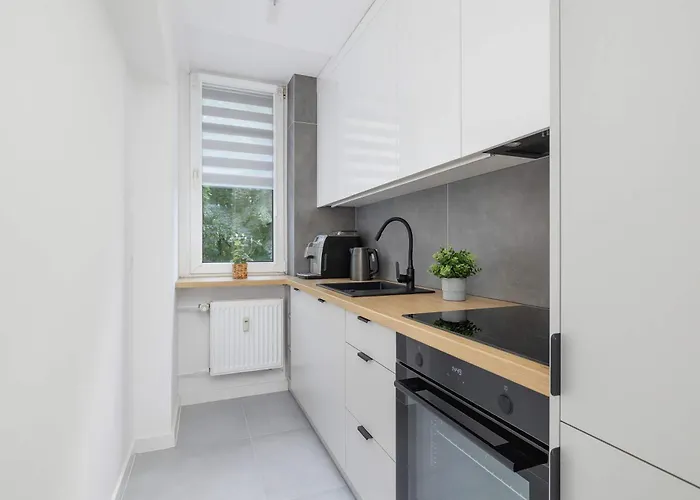 아파트 Classic Grazynskiego Near Spodek By Renters