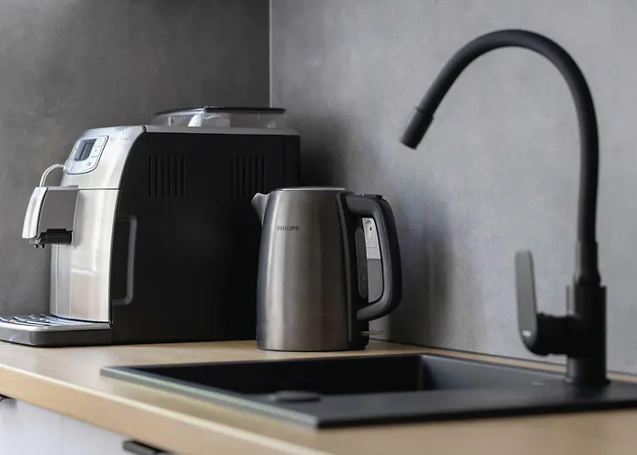 Classic Grazynskiego Near Spodek By Renters Apartmán