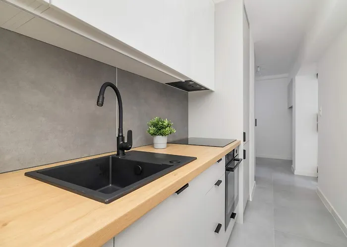 Classic Grazynskiego Near Spodek By Renters Katowice