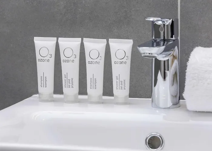 Classic Grazynskiego Near Spodek By Renters Katovice